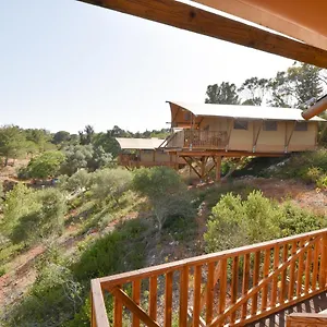 Eco Camp - Sustainable & Glamping Campsite
